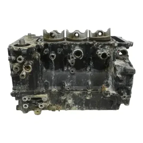 2019 YAMAHA WAVERUNNER VX1050C CRANKCASE CORE 6EY-15109-09-00 99999-04612-00