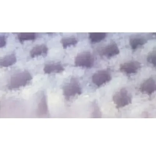 AFC Paint Pockets™ Arrestor 20X20