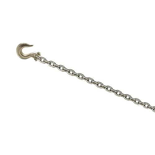 CHAMP® 12-Foot Chain with Clevis Slip Hook 1023