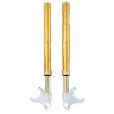 Ohlins Honda CBR1000RR-R 20-25 Supersport FGRT 200 Front Forks