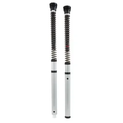 Ohlins Kawasaki ZX-4RR 23-25 Supersport NIX 30mm Fork Cartridge Kit w/Springs