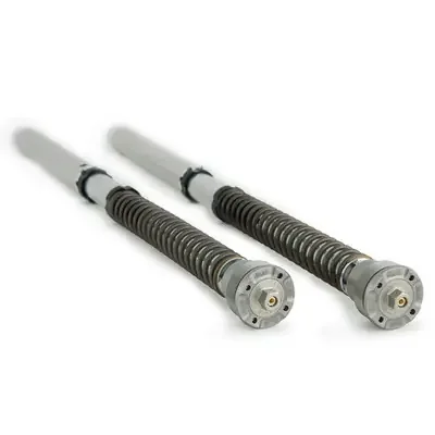 Ohlins Yamaha FZ-07 / MT-07 17-20 NIX 30mm Fork Cartridge Kit w/Springs