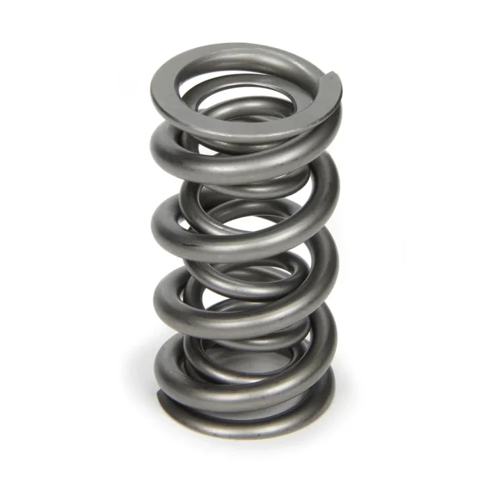 PAC Dual Valve Spring – (1 Pack)