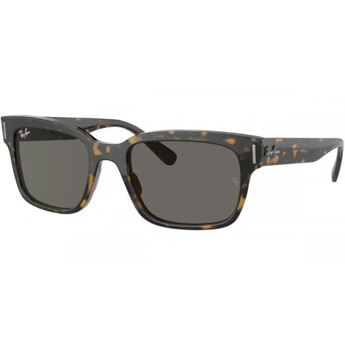 Ray-Ban Jeffrey Men‘s Lifestyle Sunglasses