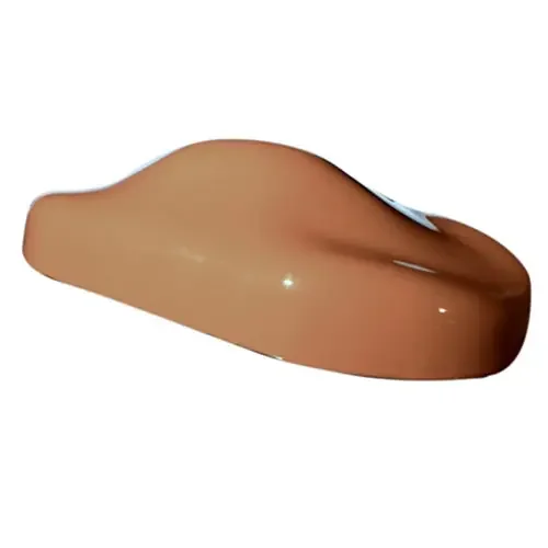 Sherwin-Williams Exact Match OE Classic Series GM Coral – PCCL65