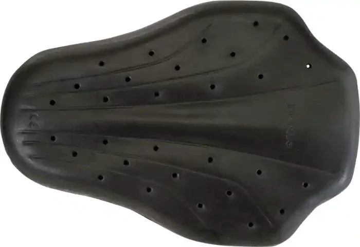 Z1R Back Guard